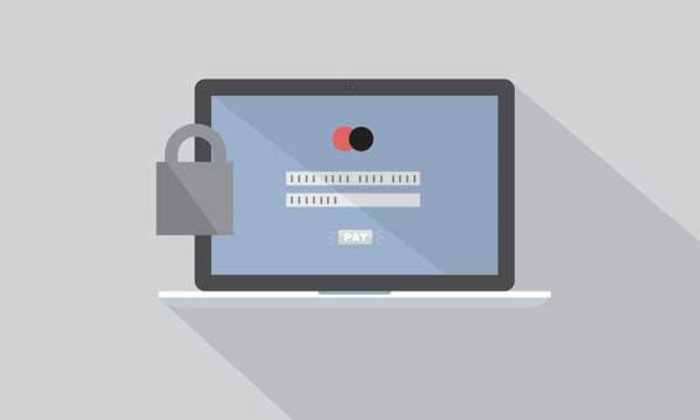 New internet payment standards