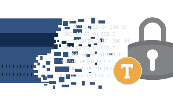 Scheme tokenization services